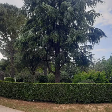 Image 52