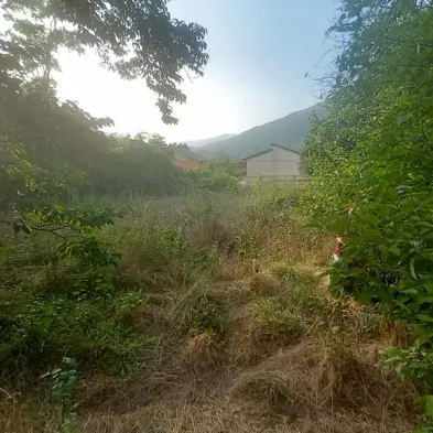 Image 8