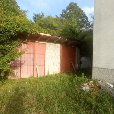 Image 11