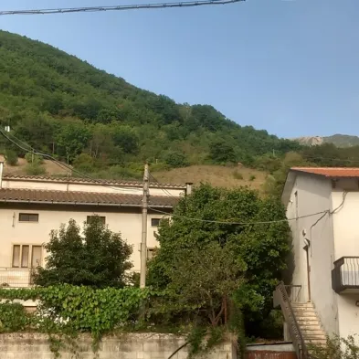 Image 19