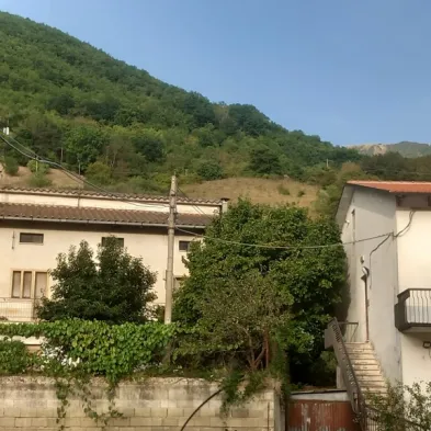 Image 20