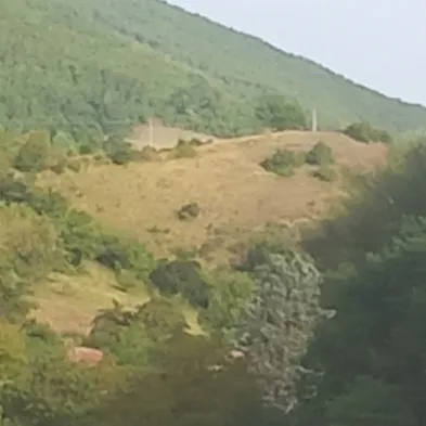 Image 21
