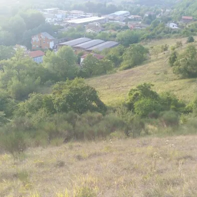 Image 33